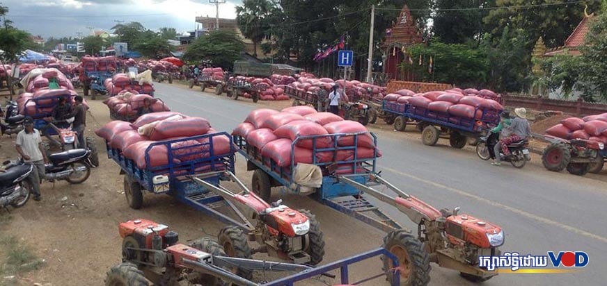 ﻿EU សម្រេចជំហានដំបូងយកពន្ធអង្ករពីកម្ពុជា